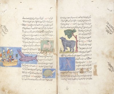 Uma página do manuscrito persa "Aja" ib al-Makhluqat wa Ghara "ib al-Maujudat de Unbekannt