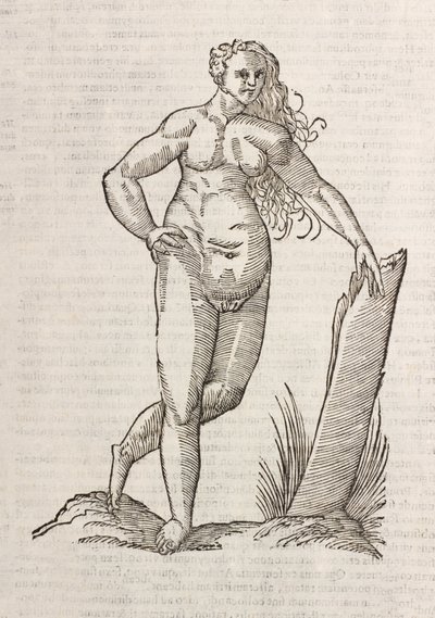 Androgynos de Unbekannt