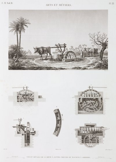 Poder Animal Irrigação movida a animais, Egito, c 1798 de Unbekannt