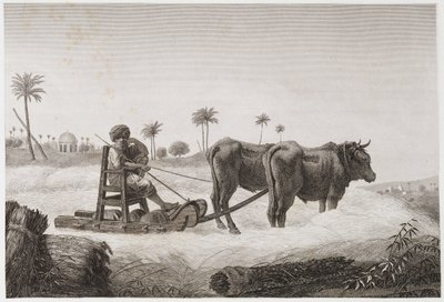 Arable Farming, Harvesting Threshing machine, Egypt, c 1798 de Unbekannt