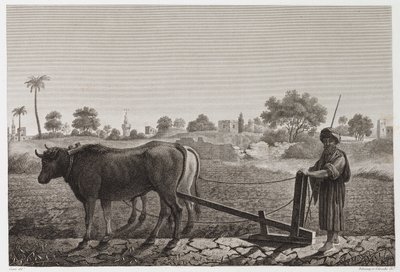 Lavoura Arável, Lavoura com bois, Egito, c 1798 de Unbekannt