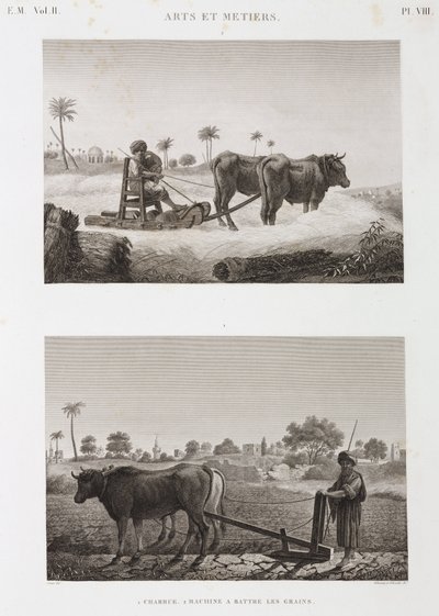 Arable Farming, Ploughing Threshing machine and plough, Egypt, c 1798 de Unbekannt