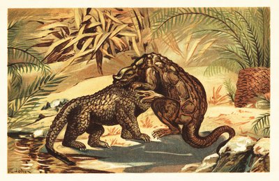 Batalha entre um Megalosaurus bucklandii e Iguanodon bernissar1908 (litografia) de Unbekannter Künstler