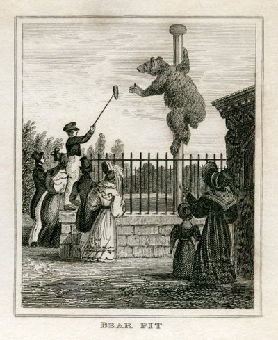 Bear pit - Zoo do Regent