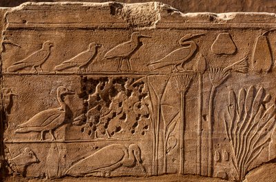 Jardim Botânico de Thutmosis III com representações em relevo de plantas e animais, Templo de Karnak, Luxor, Tebas, Egipto, África (foto) de Unbekannter Künstler