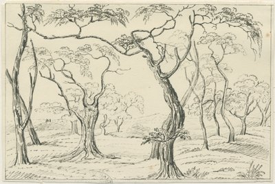 Cannock Chase: desenho a caneta e lápis, séc. XIX de Unbekannt