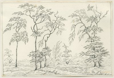 Cannock Chase: desenho a caneta e lápis, séc. XIX de Unbekannt