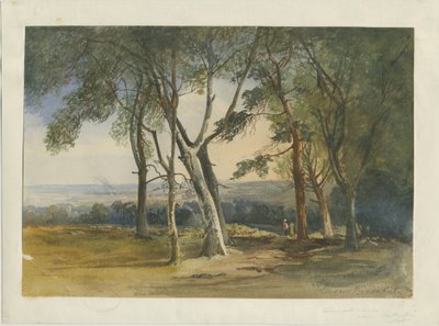 Cannock Chase: pintura em aquarela, 1848 de Unbekannt