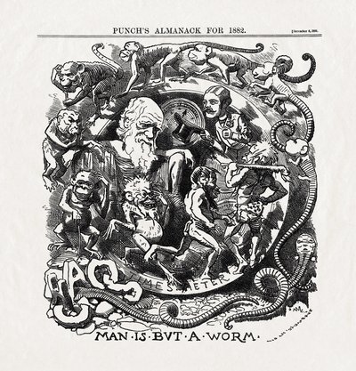 Cartoon sobre a Teoria da Evolução de Charles Darwin (1809-1882): "Man is but a worm" (O homem não passa de um verme) de "Punch" 06/12/1881 de Unbekannter Künstler