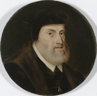 Carlos V, Santo Imperador Romano, c. 1550 (óleo sobre painel) de Unbekannt