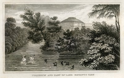 Coliseu e lago, Regent
