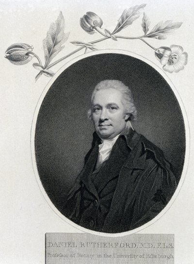 Daniel Rutherford, químico e botânico escocês, início do século XIX de Unbekannt