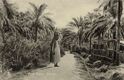 Tamareiras, Basra de Unbekannter Künstler