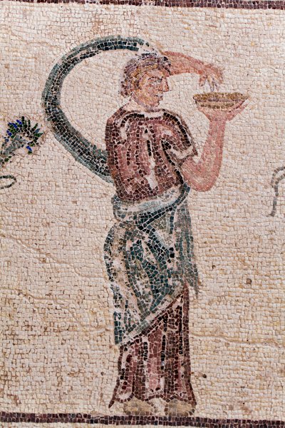 Detalhe do Triunfo de Dionísio - Retorno do deus de uma expedição militar à Índia - Um Baccante segurando uma tigela de libação - Mosaicos Paphos, Casa de Dionísio, Fim do Século II d.C. - Chipre - O triunfo de Dionísio - Longo mosaico retratando o tri de William M. Timlin