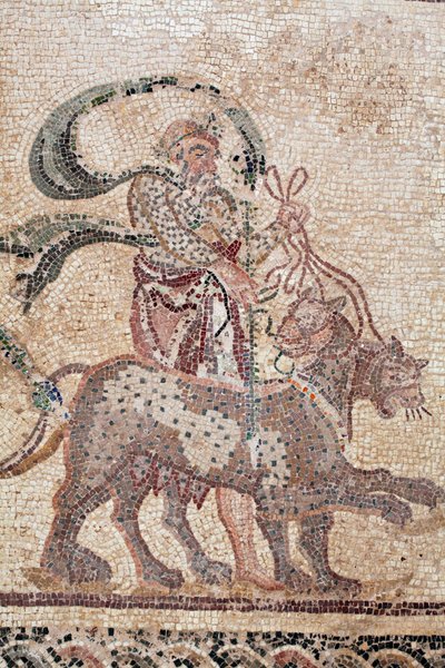 Detalhe do Triunfo de Dionísio - Retorno do deus de uma expedição militar à Índia - Silenus segurando as rédeas dos Panteras - Mosaicos Paphos, Casa de Dionísio, Fim do Século II d.C. - Chipre - O triunfo de Dionísio - Retomada de um longo mosaico de William M. Timlin