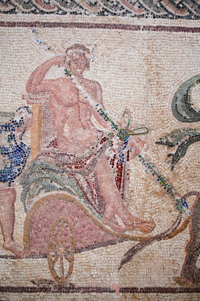 Detalhe do Triunfo de Dionysos - Regresso do deus de uma expedição militar à Índia - Dionysos sentado numa carruagem desenhada por duas panteras - Mosaicos Paphos, Casa de Dionysos, Fim do Século II d.C. - Fim do Século II d.C. -Chipre - O triunfo de William M. Timlin