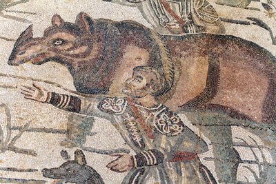 Detalhe do grande mosaico de caça. Um rinoceronte está sendo conduzido em um barco para ser transportado até o porto mais próximo. Século III - IV. Vila Romana do Casale, Sicília. Site da UNESCO. de William M. Timlin