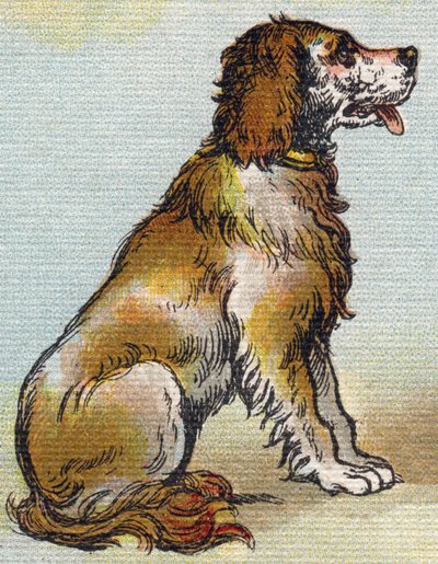 Cão. Gravura em "Alfabeto de ma petite fille". Bernardin-Bechet e Fils, livreiro-editores, Paris, por volta de 1895. Álbum inquebrável em lona. Bibliotheque des Bebes. 12 páginas. Álbum contendo um método de leitura e um abecedário ilustrativo. Dim: 29,5 de Unbekannt