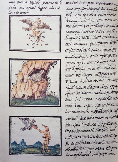 Eagles, página do Codex Florentino, versão bilíngüe em espanhol e Nahuatl, História Geral das Coisas da Nova Espanha pelo missionário espanhol Fray Bernardino de Sahagun (1499-1590). A civilização asteca de William M. Timlin