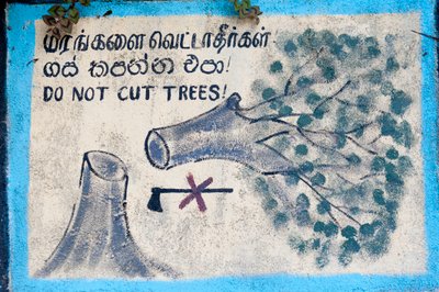 Proteção ambiental; placa pintada; "" Não cortar árvores" representando uma árvore cortada e um machado cruzado; Nuwara Eliya; Sri Lanka; Ásia de Unbekannt