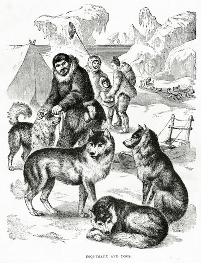 Esquimós e Cães. 1902 (litho) de Unbekannt