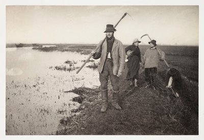 Agricultores e trabalhadores agrícolas 