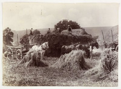 Cenas de Agricultura, Colheita e Armazenamento, Colheita Pré-1900, c 1890 de Unbekannt