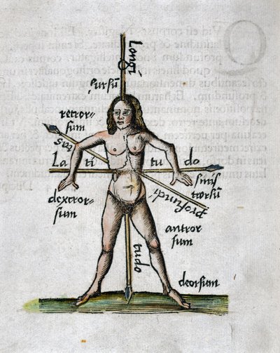 Geografia Século XVI: figura humana representando longitudes e latitudes, seu corpo é atravessado por lanças orientadas de acordo com os ângulos das linhas imaginárias de Unbekannt