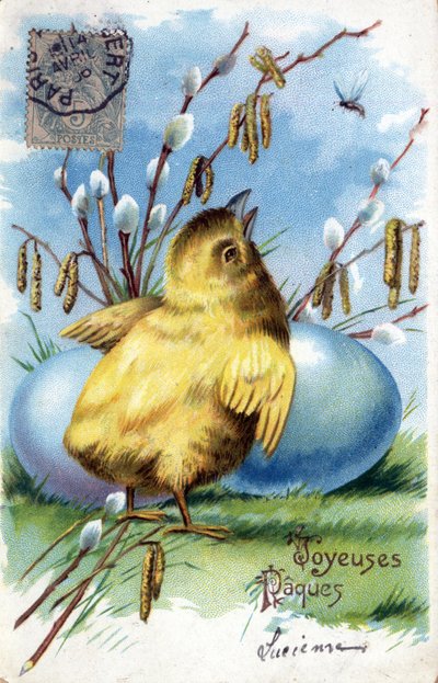 Cartão de Boas Festas da Páscoa: um pintainho e ovos - Cartão Postal datado de 1906 de Unbekannt