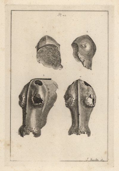 Capacete 1,2, e chanfron de ferro ou chafron 3,4 que pertenceu a Guy, Conde de Warwick. de Unbekannt