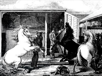 Cavalos na estação de comboios de Gloucester. de Unbekannt