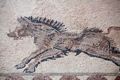 Cena de caça: Um javali - Mosaicos Paphos, Casa de Dionysos - Fim do Século II d.C. - Chipre - Cena de caça: Javali em movimento - Mosaicos de Paphos, Casa de Dionysos - Fim do Século II d.C. - Site da UNESCO, Chipre de William M. Timlin