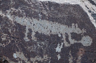 Petroglifos indianos representando animais - Petroglyph National Monument - Albuquerque, Novo México, EUA (EUA) de William M. Timlin