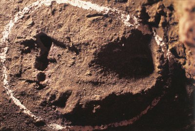 Itália, Ligúria, Gruta de Toirano, pegadas de caçador pré-histórico de Benjamin Baud