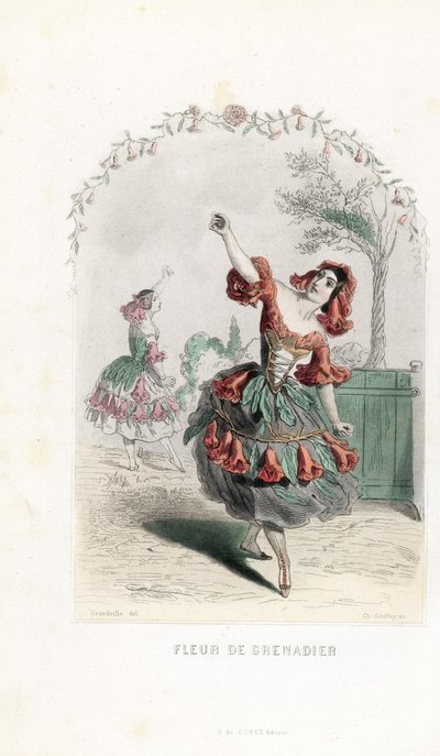 La fee de la fleur de grenade danse - Gravura de Charles Geoffroy (1819-1882), baseada numa ilustração de Jean Ignace Isidore Gerard dit J.J.J.Granville (1803-1847), para Les fleurs animees de Unbekannter Künstler