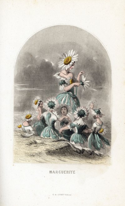 Les fees des daisies des pres, encimados por chapéus de flores, um deixa as pétalas de uma margarida - Eau forte de Charles Geoffroy (1819-1882), segundo uma ilustração de Jean Ignace Isidore Gerard dit J.J.Granville (1803-1847), para Les fleurs animees de Unbekannter Künstler