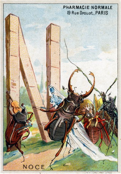 Carta N como um casamento. O alfabeto artístico do Sr. Marinier. Editado por Henry Sicard, finais do século XIX. Cromolitógrafos publicitários para produtos vendidos em farmácias. Dim: 12,5 x 9 cm de Unbekannt