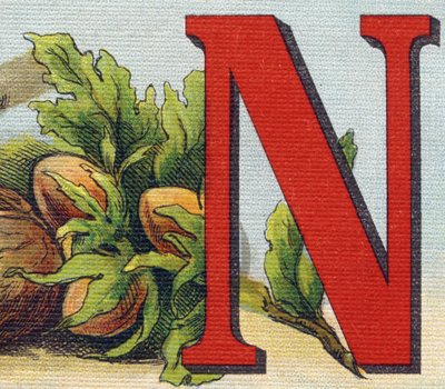Letra N: avelãs. Gravura em "Alfabeto de ma petite fille". Bernardin-Bechet e Fils, livreiro-editores, Paris, por volta de 1895. Álbum inquebrável em lona. Bibliotheque des Bebes. 12 páginas. Álbum contendo um método de leitura e um abec ilustrativo. de Unbekannt