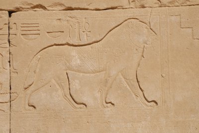 Escultura do leão, Karnak, Luxor, Egito (foto) de Unbekannt