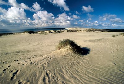 Lituânia, Klaipeda, Curonian Spit, Nida, dunas de areia em movimento chamadas Prussian Sahara de William M. Timlin