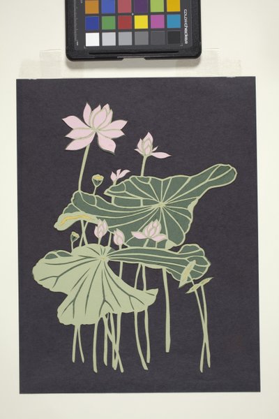 Lotus (papel cortado multicolorido) de Unbekannter Künstler