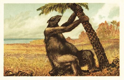 Megatherium americanum a puxar uma palmeira.1908 (litografia) de Unbekannter Künstler