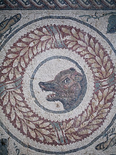 Mosaico do peristilo. Pormenor representando a cabeça de um urso. Século III - IV. Villa Romana do Casale, Sicília. Site da UNESCO. de William M. Timlin