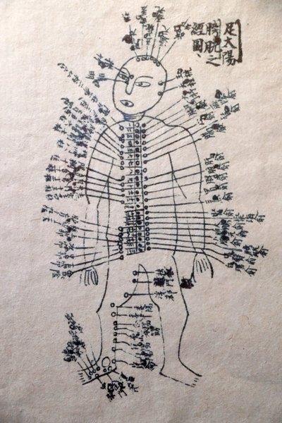 Museum of Traditional Vietnamese Medicine, The channels and vessels, Livro de acupunctura, Cidade de Ho Chi Minh, Vietname de Unbekannt