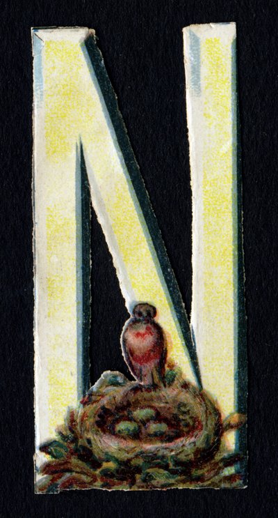 N como o Nest. Decoupis de besouro sobre o tema dos animais. Gravura. Série de 26 cromolitógrafos de waffle de origem inglesa. Editor e ilustrador desconhecido. Fim do século XIX. Dim: 5,5x3,5cm. de Unbekannt