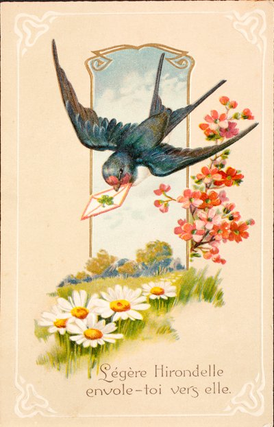 Cartão postal antigo/Swallow/Mensagem de Unbekannt