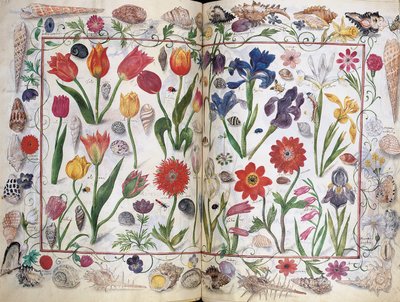 Páginas do Álbum Amicorum de Philipp Hainhofer, 1596-1633 de Unbekannt