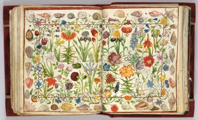 Páginas do Álbum Amicorum de Philipp Hainhofer, 1596-1633 de Unbekannt