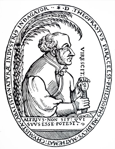 Paracelsus. de Unbekannt