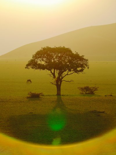 Paraíso depois da chuva, Chyulu Hills, 2018 (fotografia) de Unbekannter Künstler